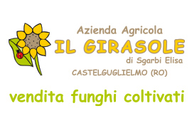 Azienda Agricola Il Girasole.jpg